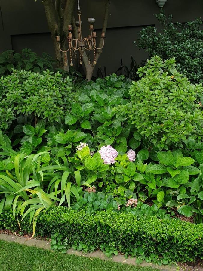 Dunkeld Manor Hotell Johannesburg Exteriör bild